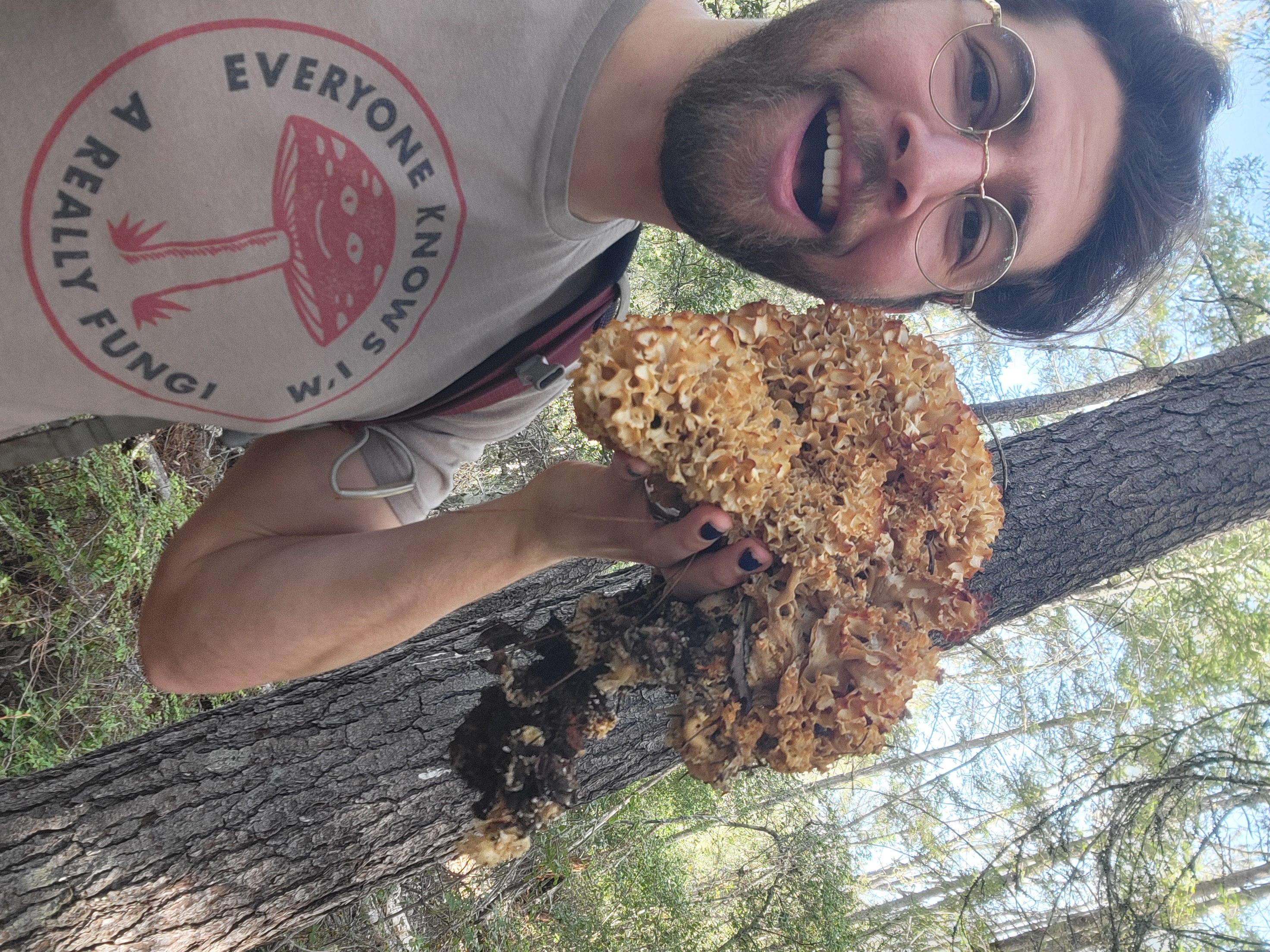 Mushroom Foraging